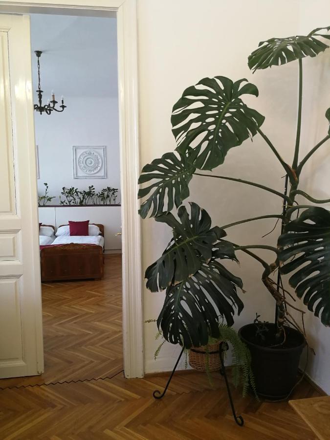 Tulipanvendeghaz Hotel Кестели Екстериор снимка